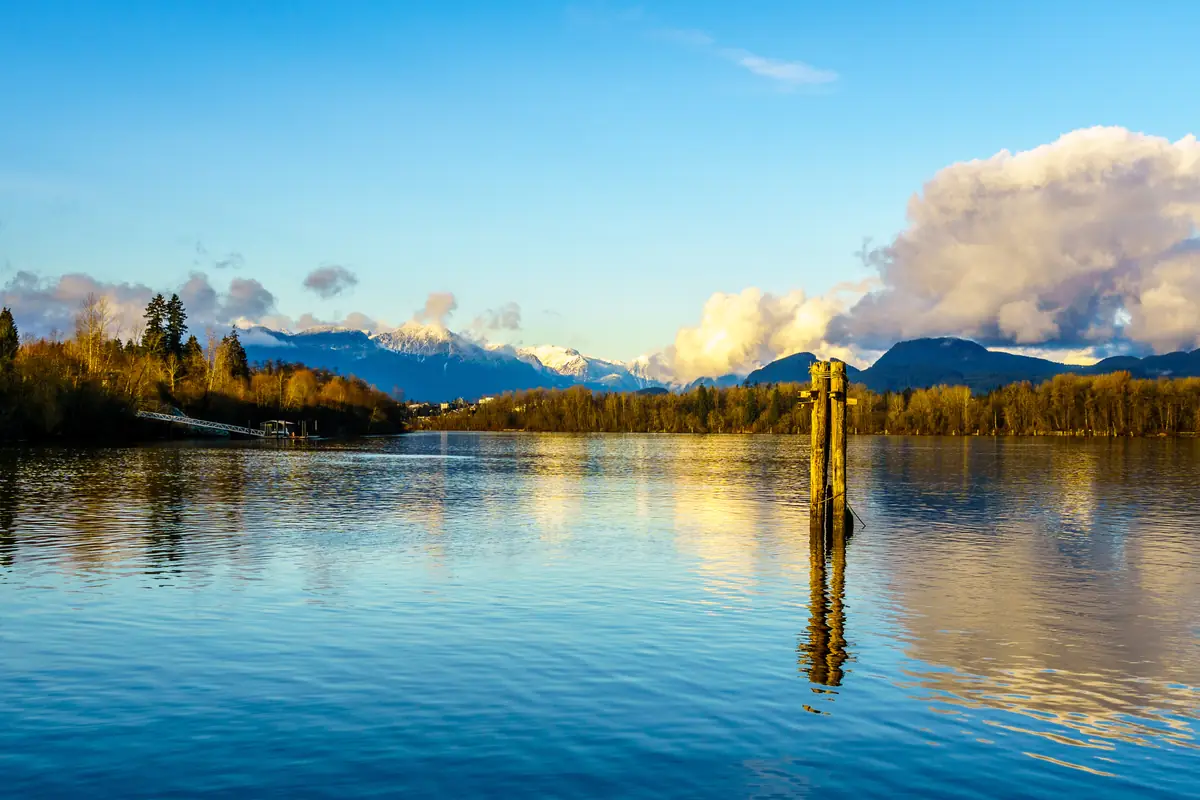 The Fraser River near Fort Langley, BC, with snow on the Coast Mountains