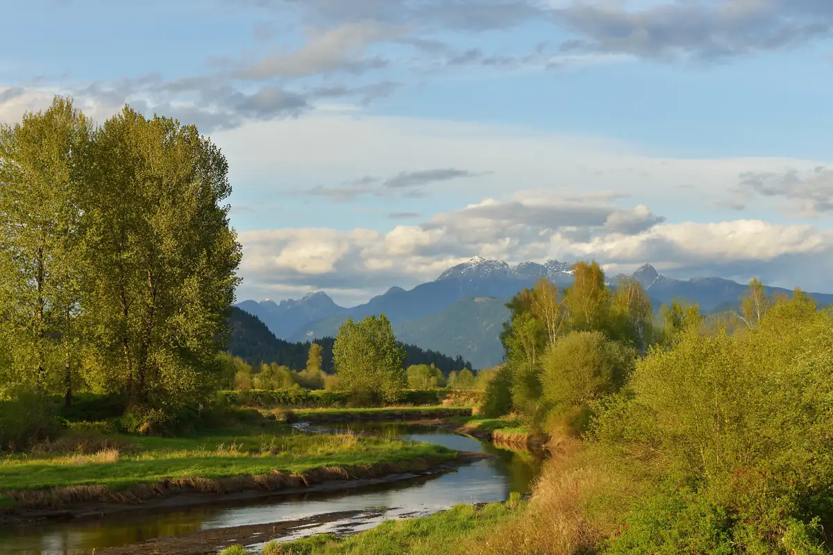 The Pitt River lowlands and Golden Ears mountains near Port Coquitlam, BC