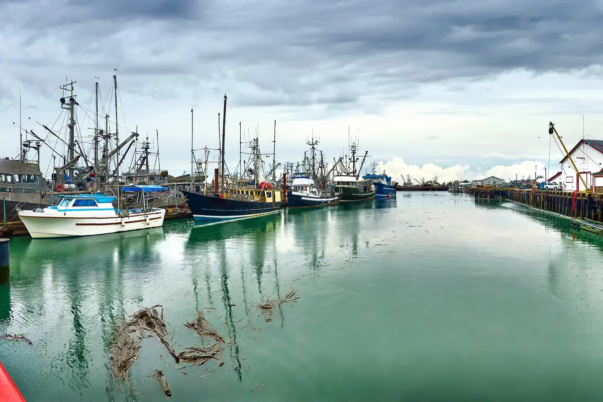Fishing boats at Steveston Fisherman's Wharf in Richmond, BC