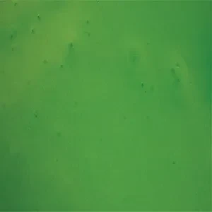 Jade Green metallic epoxy floor colour