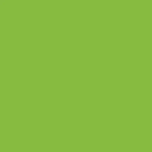 Lime Green solid colour epoxy flooring